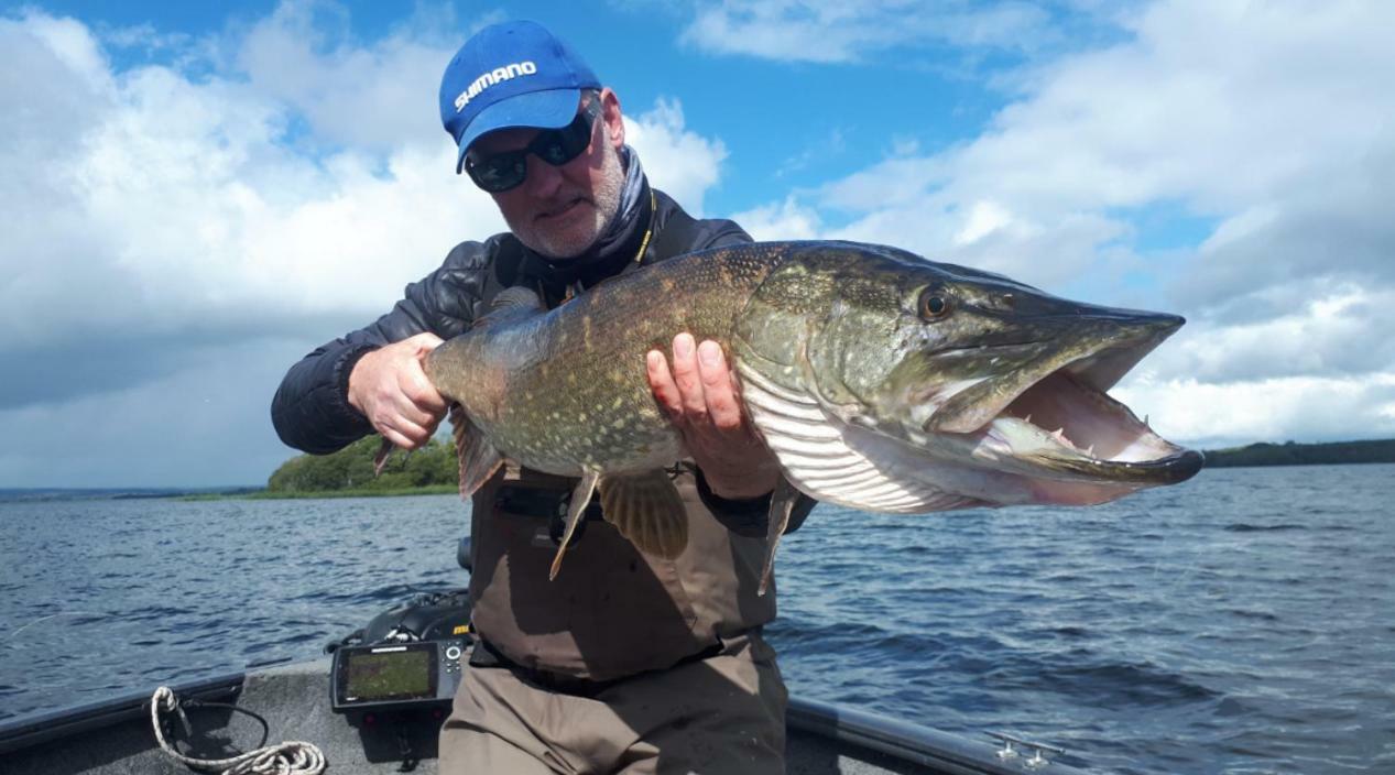 Lough Derg House & The Lake Cafe Nenagh Exterior foto